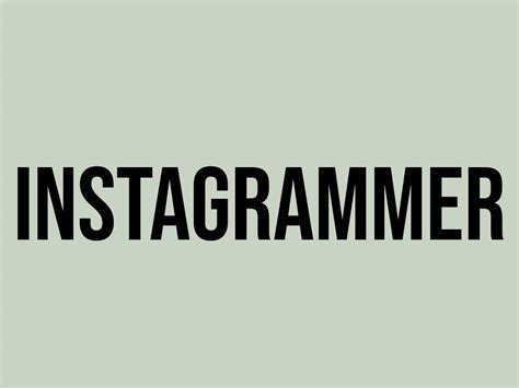 instagrammer|instagrammer meaning.